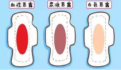 图源网络 图源网络